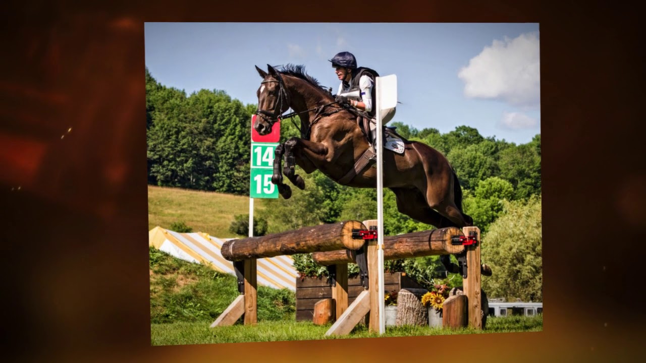 Dressage Between the Jumps – Trafalgar Square Books