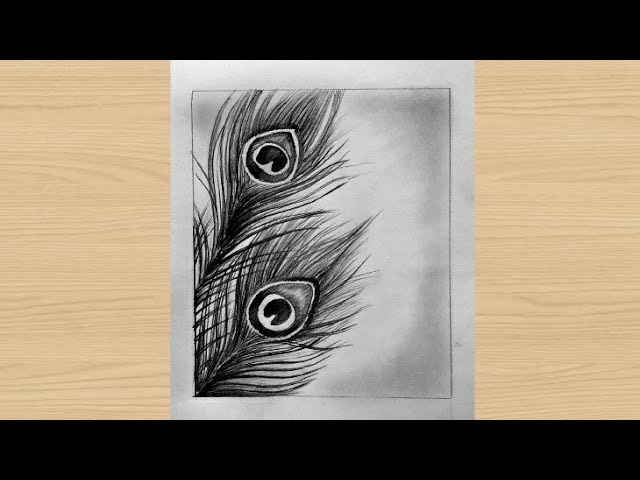 Free Download - Peacock Feather Drawing Png Clipart - Large Size Png Image  - PikPng