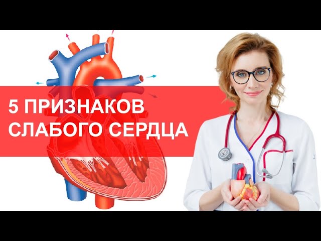 5 признаков слабого сердца. Признаки сердечной недостаточности