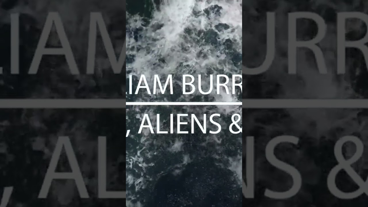 William Burroughs - Magie, Aliens und Drogen 