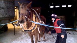 Luokkivaljastus Harjoitus