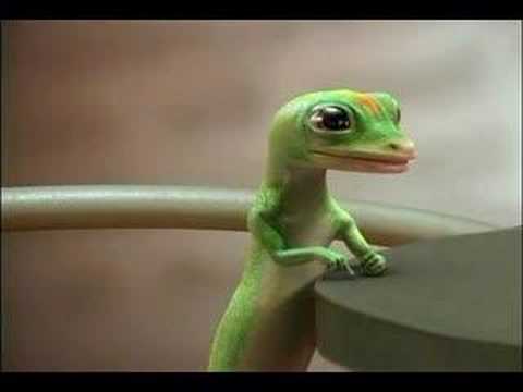 The Geico Gecko - YouTube