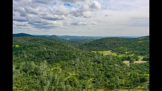12515 Hatchet Creek Dr video tour