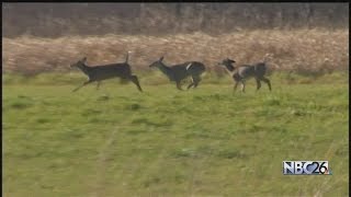 Deer hunting licenses are up in Wisconsin