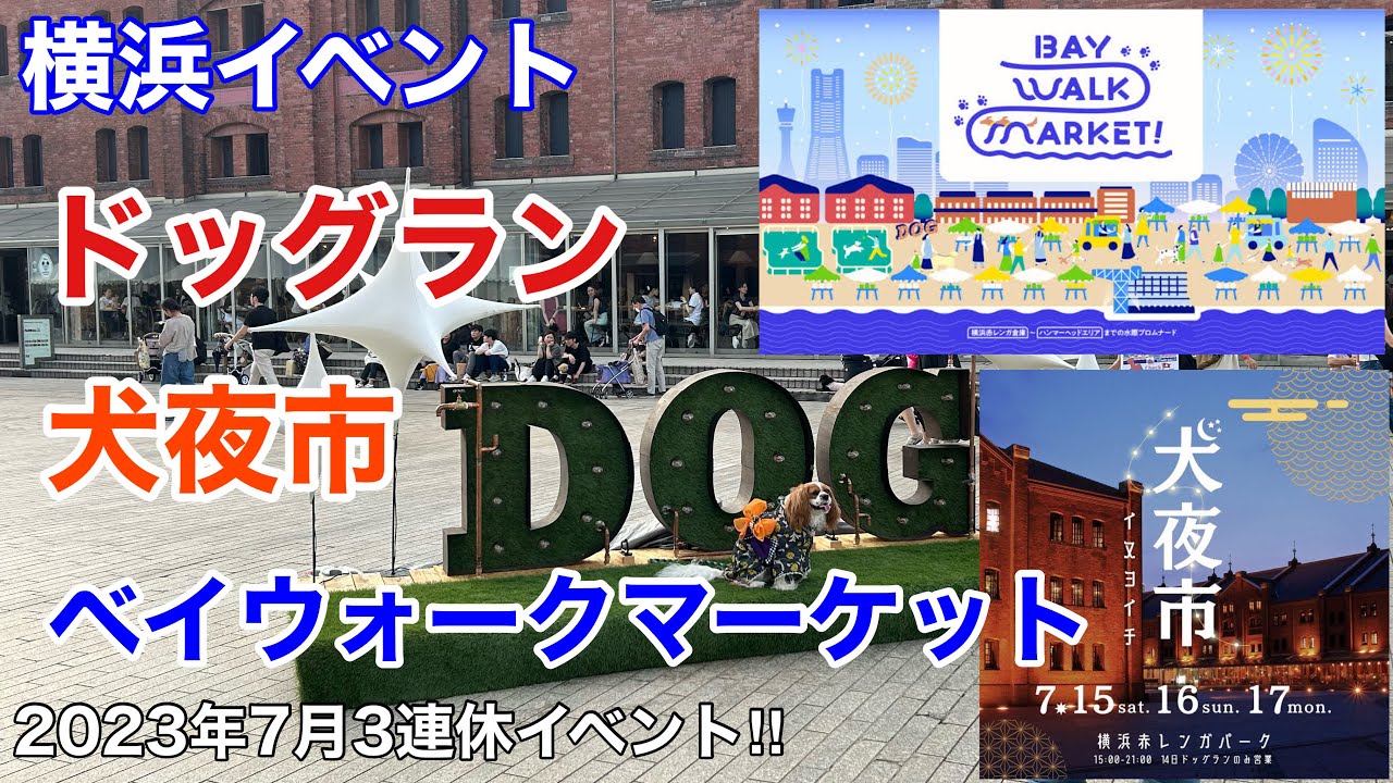 【横浜イベント】7月3連休、赤レンガ周辺イベントのドッグラン、犬夜市（イヌヨイチ）、ベイウォークマーケットの様子を見て歩く