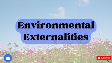 Milieu-externaliteiten