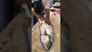 White Queen Fish (Para Fish) Cutting Expert |#queenfish #fishcuttingexpert #shorts #short#trending