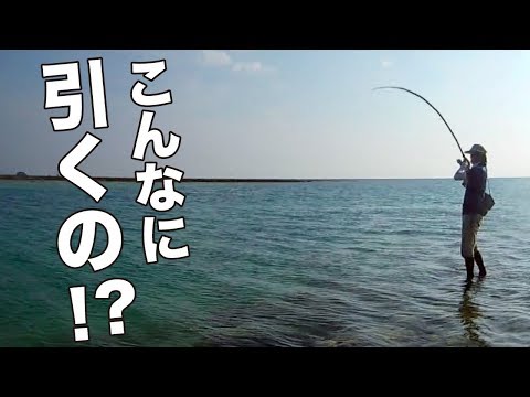ドン深のリーフは化け物だらけだった【18ステラ × ワールドシャウラ2702】【実釣テスト】