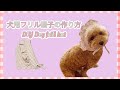 カワイイ犬用帽子の作り方 DIY how to saw frill cap 개 모자를 만드는 방법