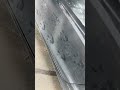 Dinosaur walked on her car?