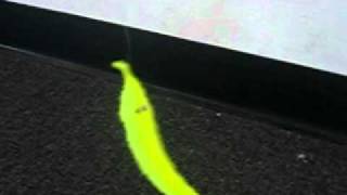 What Squirmles do at Jazzersize 1
