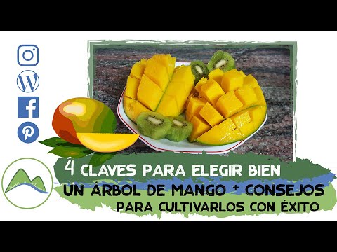 Video: Árboles frutales del noroeste: cultivo de árboles frutales en el noroeste del Pacífico