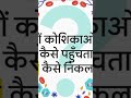 #humanheart #circulatorysystem #biology #science #class10 #class10science #ncert #ncertscience