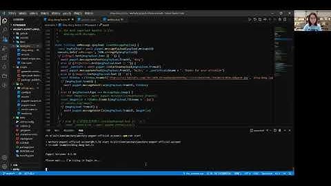 wechaty puppet oa live coding