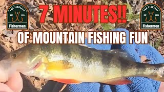 PERCH FISHING: North Georgia Mountains!! @sethjohnsonoutdoors4055 @jimmyRadventures @