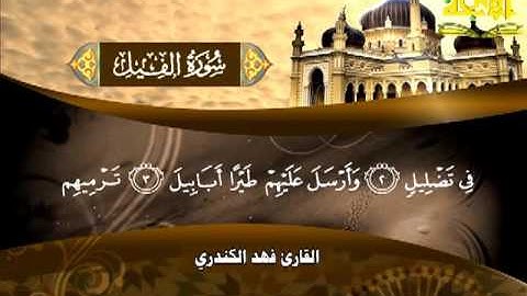 105 - فهد الكندري - سورة الفيل