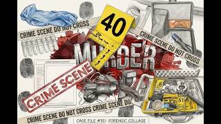 AW - Is there such a thing as the PERFECT CRIME? The ASH WEDNESDAY hosts discuss the topic. The Gray Line The Story Behind The Blue Line Intro