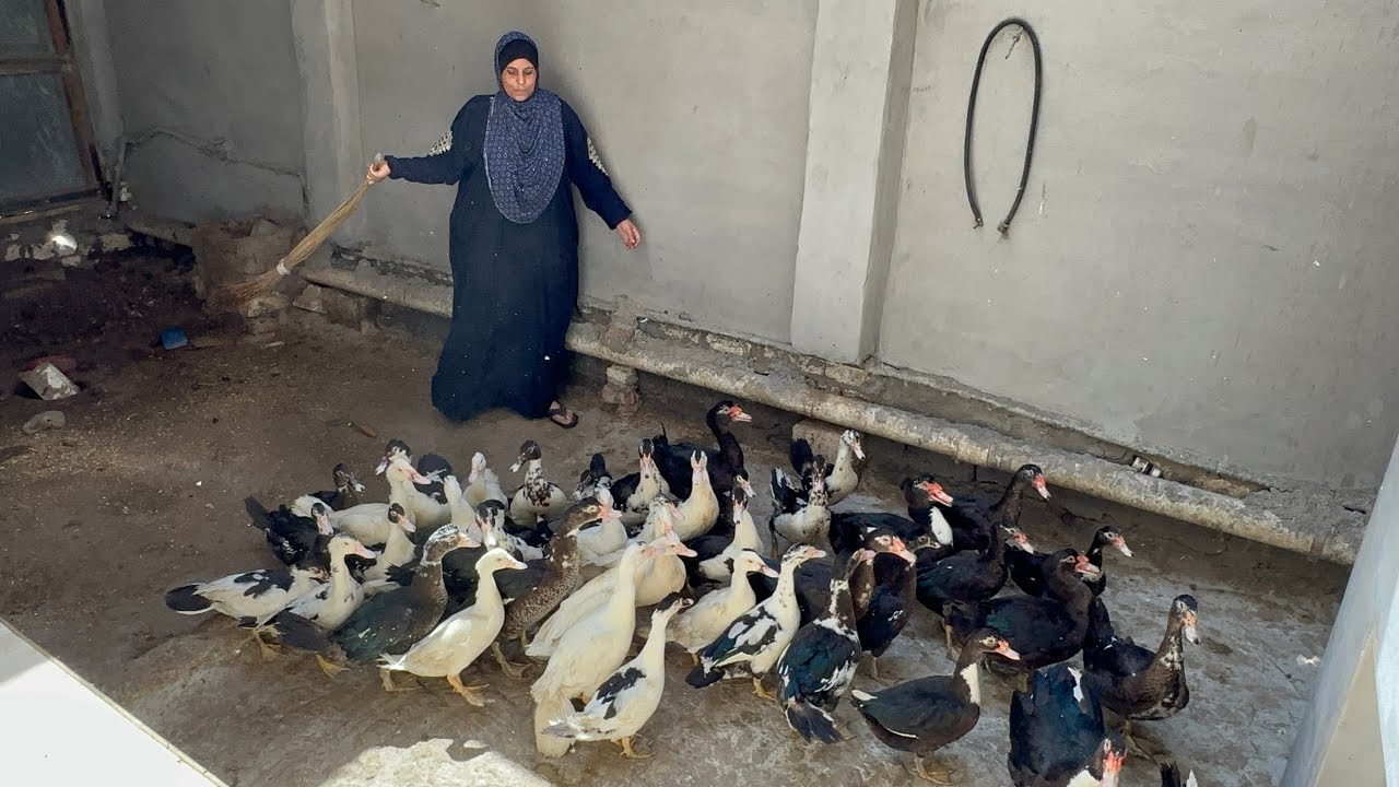 اللى ربنا راضى عليه يشوط الدنيا برجليه ده المشروع اللى هيغنيكى ويخلى الدهب يملّا ايديكى 💪