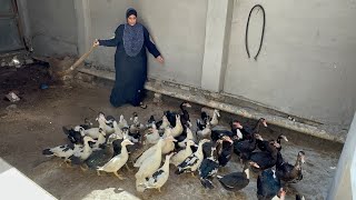 اللى ربنا راضى عليه يشوط الدنيا برجليه ده المشروع اللى هيغنيكى ويخلى الدهب يملّا ايديكى 💪