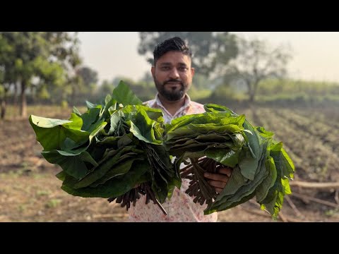 कोकणी पद्धतीतले चुलीवरचे अळूचे फतफदे | पारंपारिक अळूचं फतफतं