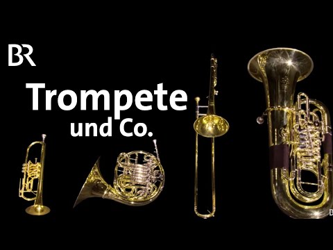 Video: Warum ist Trompete ein Blechbläser?