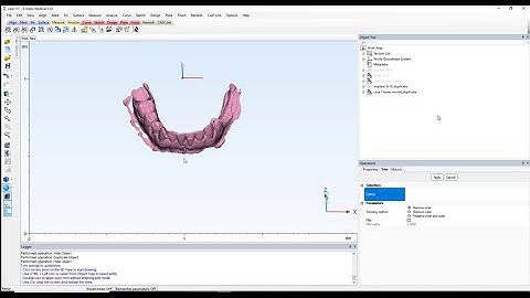 Model triming and preparing in materialase 3matic (lessin (4))