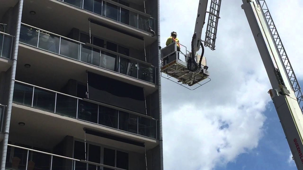 猫を安全にベランダで遊ばせるには 脱走 転落防止法4つ