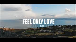 DJ SLOW !!! Riski Remix - Feel Only love ( Slow Remix )