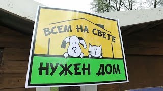 &quot;Ищу друга&quot;. Благотворительное мероприятие, приуроченное к 5-тилетию группы &quot;Потеряшки&quot;