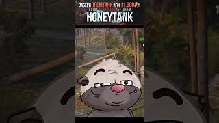 Шишки с ракушками не поделили | код HONEYTANK