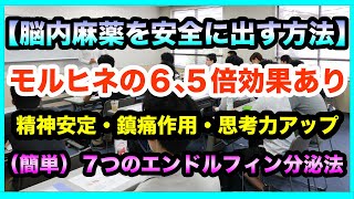 【脳内麻薬の出し方】脳内麻薬（エンドルフィン）を自分でコントロールする　音楽やBGM・曲以外の出し方