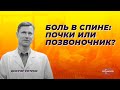 Боль в спине : почки или позвоночник?