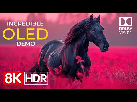 Incredible Picture Quality in 8K HDR 60fps Dolby Vision | OLED TV Demo