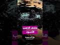 متحف الذهب الأسود
