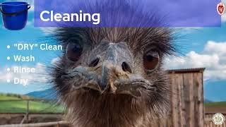 Basic Biosecurity Practices For Livestock Operations