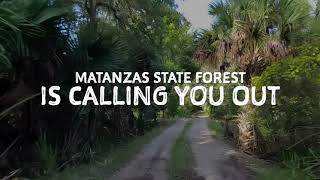 We&#39;re Calling You Out to Matanzas State Forest