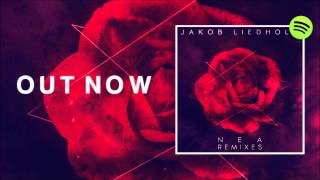 Jakob Liedholm - NEA (Steerner Remix) [SONY MUSIC]