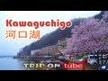 Trip on tube : Japan trip ( 日本 ) Episode 6 - Kawaguchiko ( 河口湖 ) Fuji lake [HD]