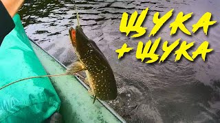 #23 Щуки озера Верховское | Засолка щук и уха из щук | Канда - Кукса 2020