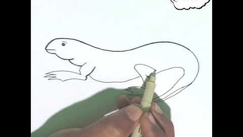 How to draw lizard🦎😂| छिपकली का चित्र आसानी से बनाये | Letter Drawing | How to easy drawing and art
