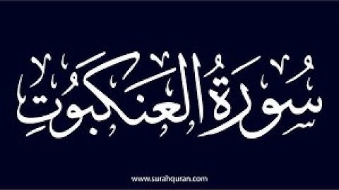 2- سورة العنكبوت من اية 26 الى 69