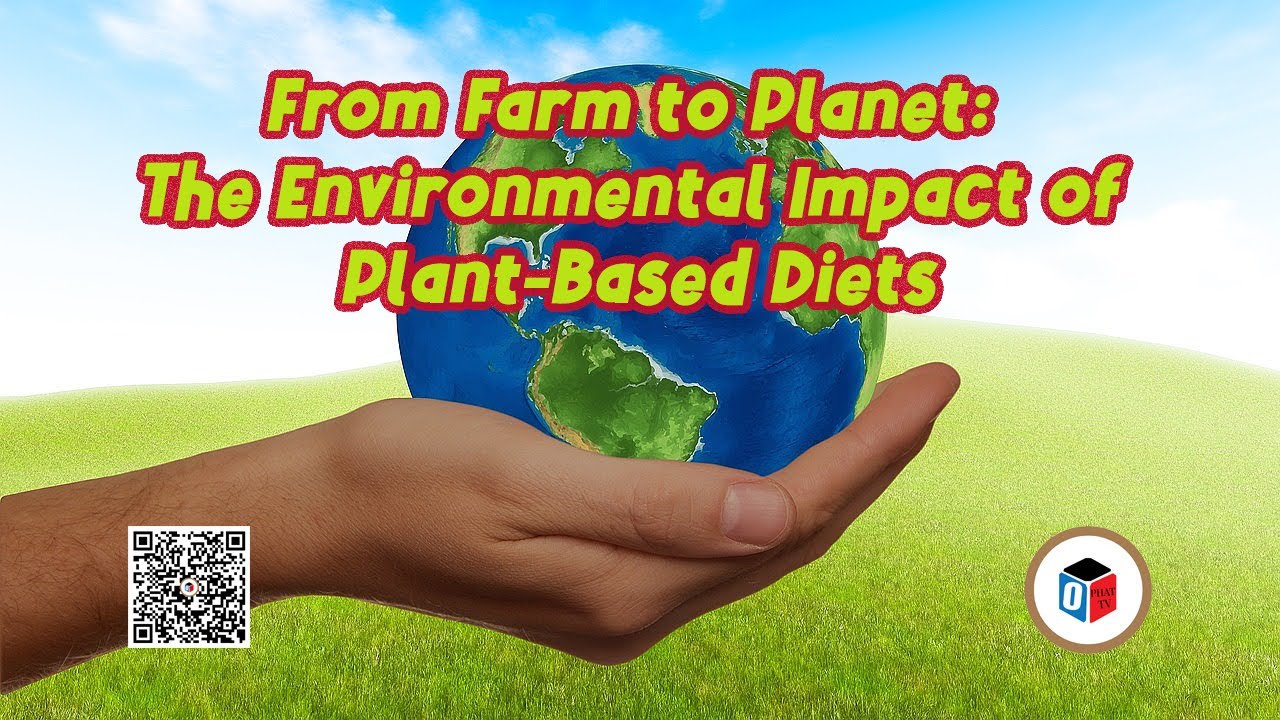 The Power of Plant-Based Diets: Environmental Benefits Explained - YouTube