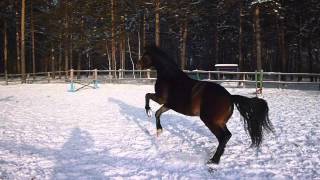 20121208 3 Игры