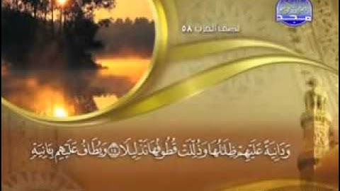 سورة الإنسان -  76  - كاملة مكتوبة  الشيخ ماهر المعيقلي  -     los derechos AL