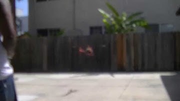 trex 500 expo and i gain test hover