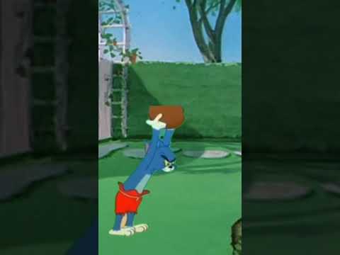 Hungry Tom Trying Eating Jerry 😂#tom #jerry #cartoon #tomandjerry