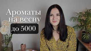 видео: 6 бюджетных весенних ароматов до 5000 рублей — новинки 2024 года картинка: 6 бюджетных весенних ароматов до 5000 рублей — новинки 2024 года