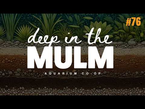 Deep in the Mulm Podcast Ep.76