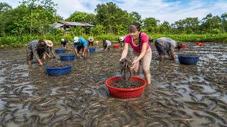 Catching Many Eels In The Swamp Go To Market Sell | Village Life screenshot 3