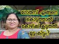 How to give wheat for Hens?Raw/sprouted wheat. ഗോതമ്പ്  എങ്ങനെ കൊടുത്താൽ കൂടുതൽ മുട്ട കിട്ടും?